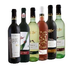 DealClub Dealcode Käfer Wein