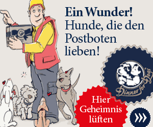 Gratisprobe Hundefutter Gratisartikel Produktprobe