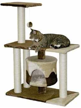 Katzenkratzbaum Schnäppchen Haustier Deal und Angebot