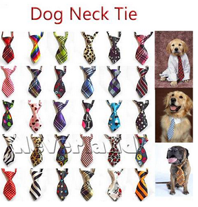 Haustierdeal und Gadget Krawatte
