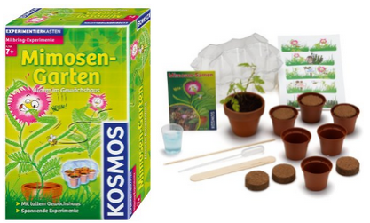 Der Mimosen-Garten reduziert