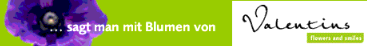 Valentins Blumenversand